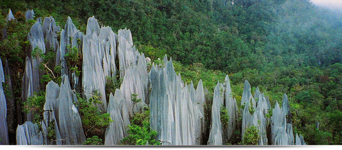 Things To Do in Malaysia