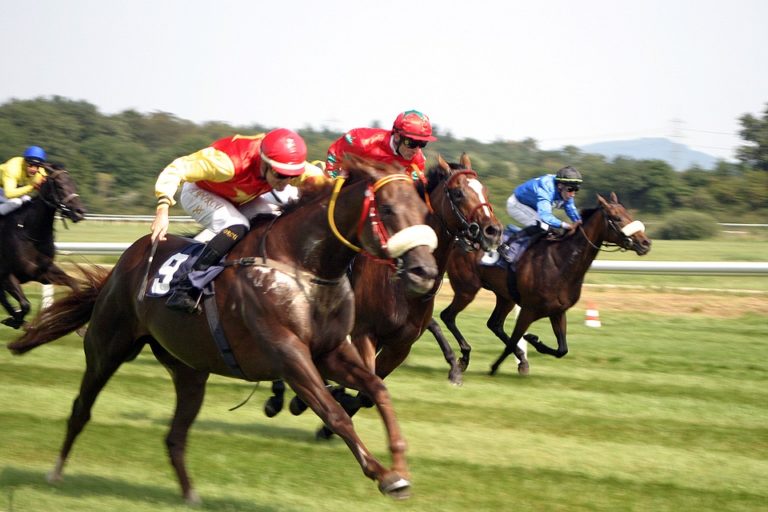 Winning a Thailand Horse Race