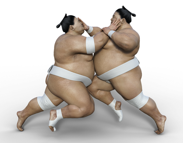 sumo wrestler's diet