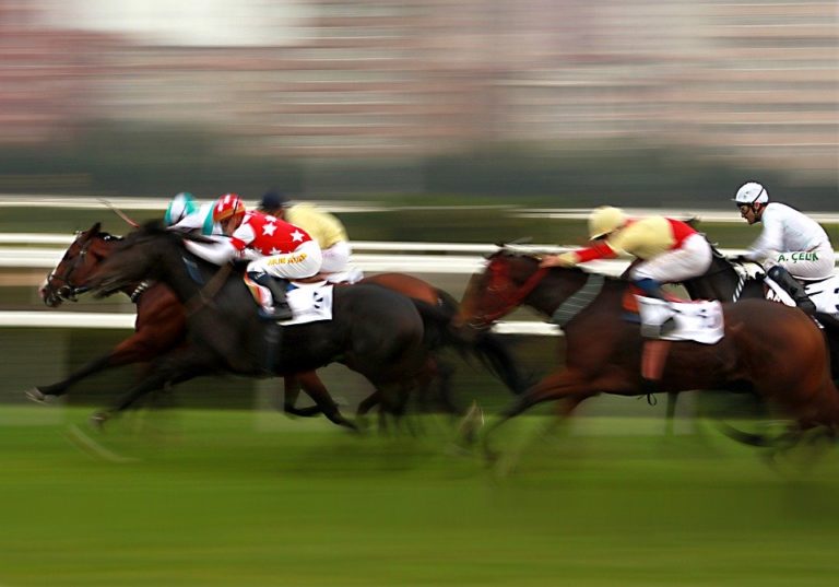 Guide to Betting on Virtual Horse Racing