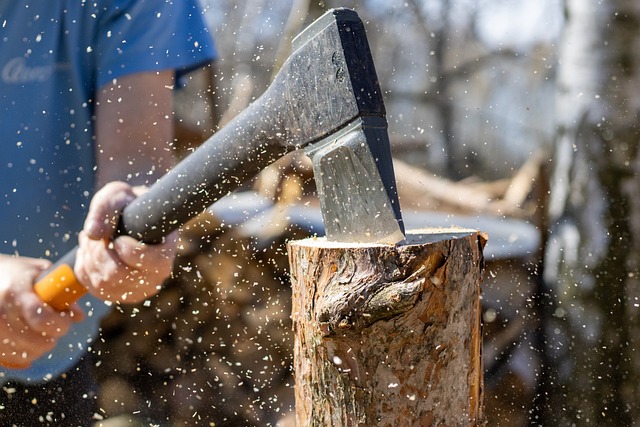 competitive wood chopping