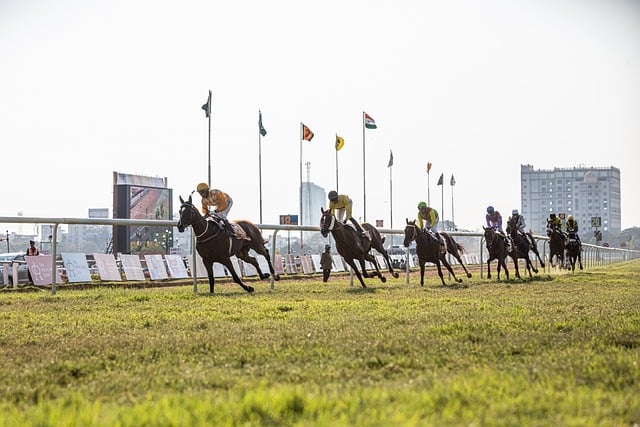 A Guide to Malaysia’s Horse Racing Betting Scene